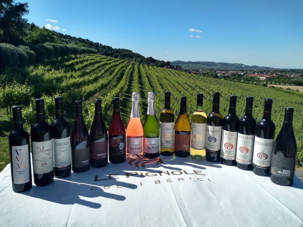 Degustazione di vino bianco a Vicenza