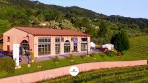 Scopri di più sull'articolo Alle porte dei Colli Berici: l’eccellenza dei sapori