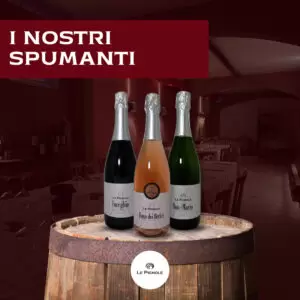 Read more about the article I nostri spumanti