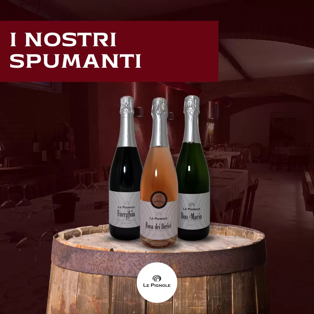 Lesen Sie mehr über den Artikel I nostri spumanti