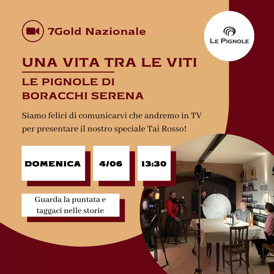 Lesen Sie mehr über den Artikel Una vita tra le viti: intervista in TV