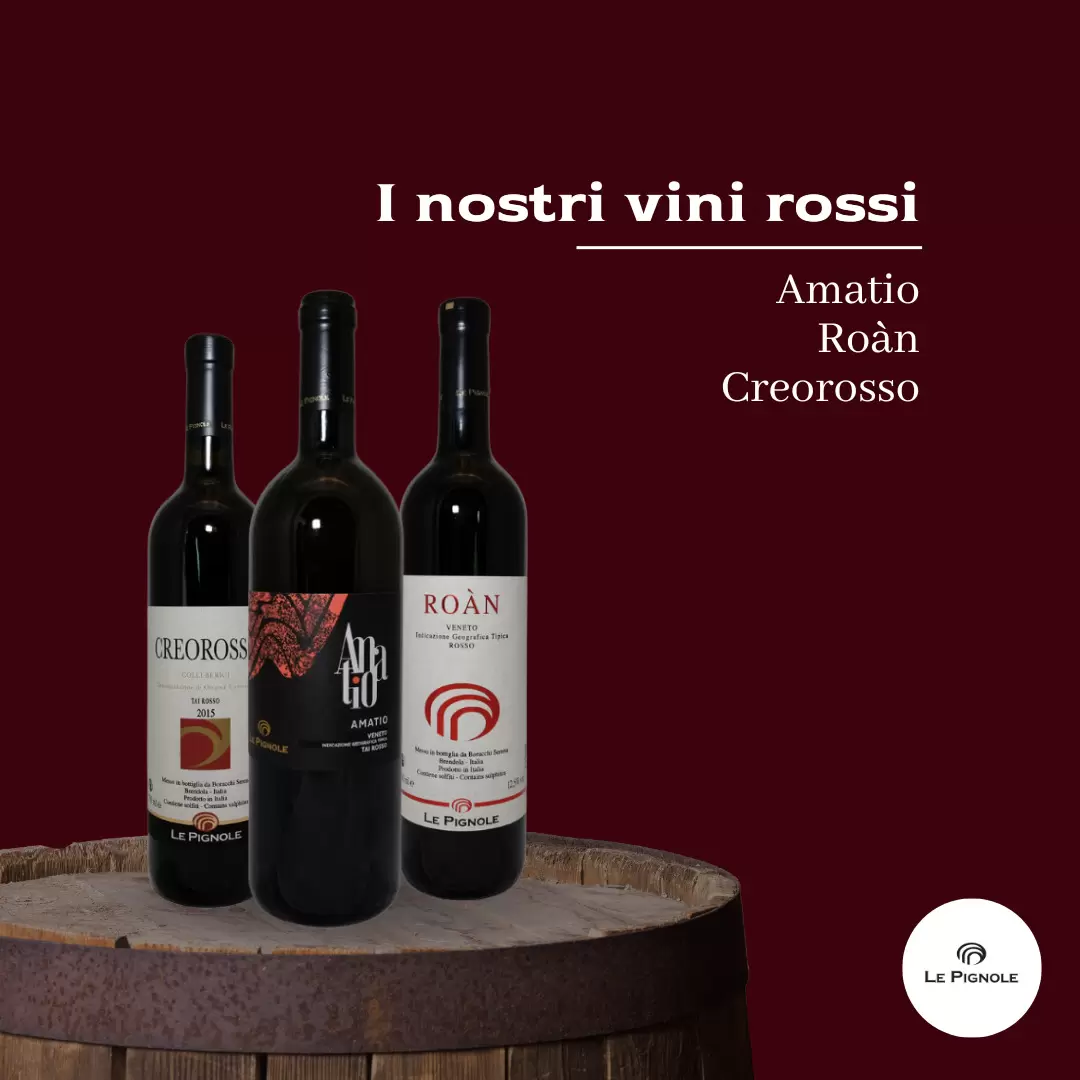 Lesen Sie mehr über den Artikel I nostri vini rossi