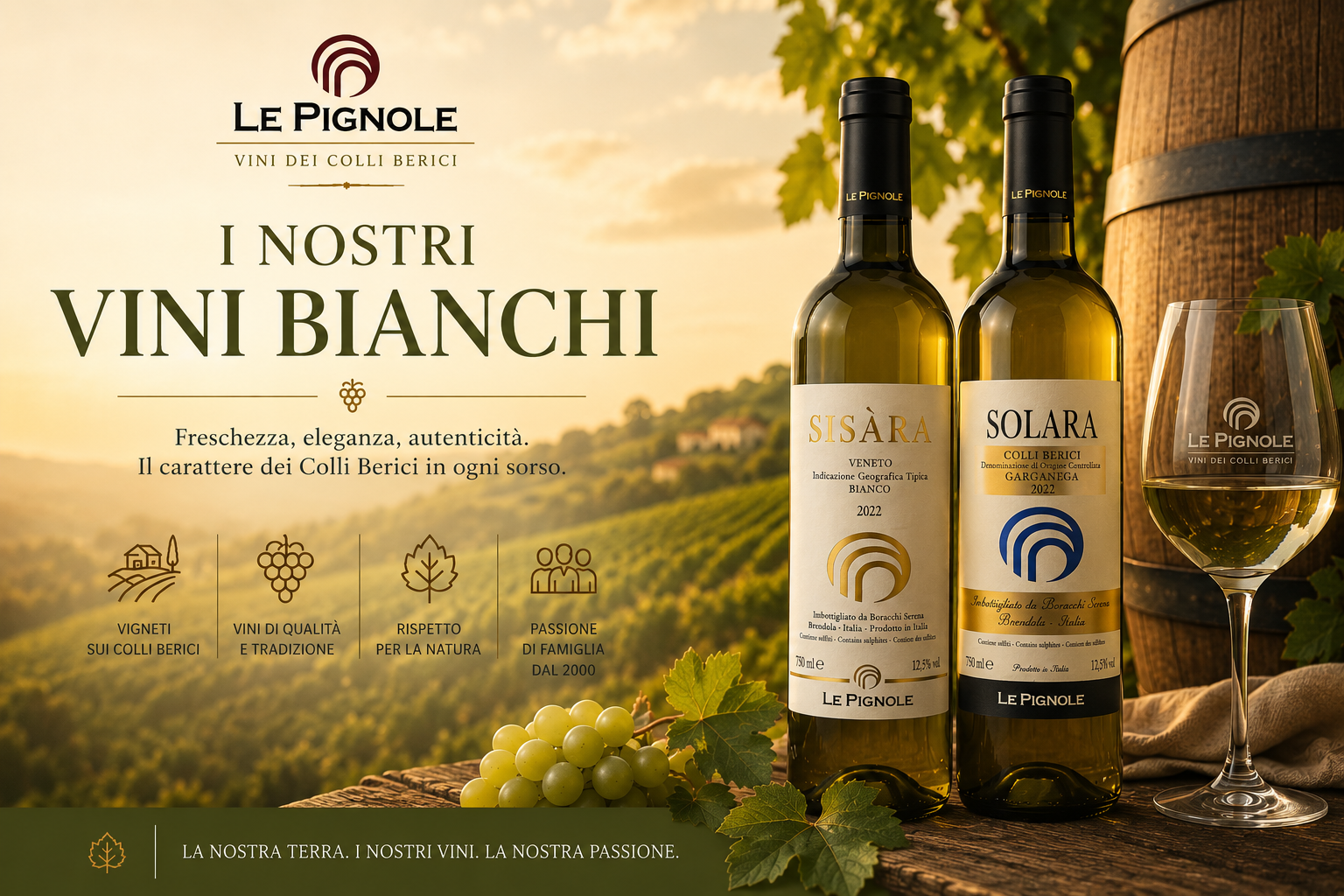 Scopri di più sull'articolo I nostri vini bianchi