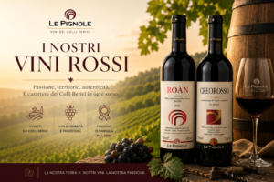 Scopri di più sull'articolo I nostri vini rossi