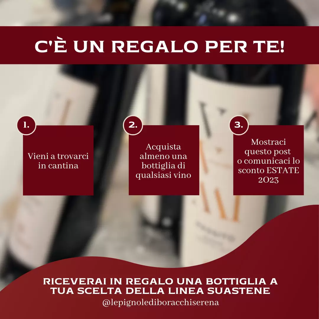 Lesen Sie mehr über den Artikel Bottiglia in regalo