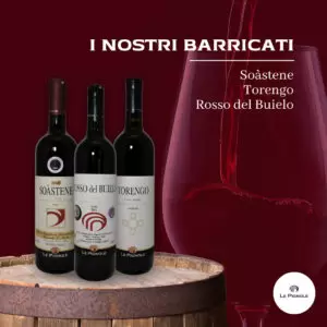 Read more about the article I nostri barricati