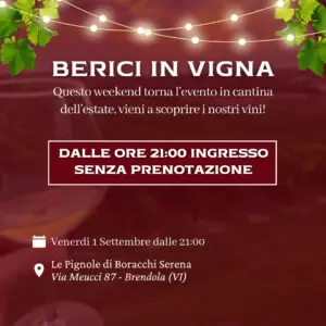 Scopri di più sull'articolo 1 Settembre: torna Berici in Vigna