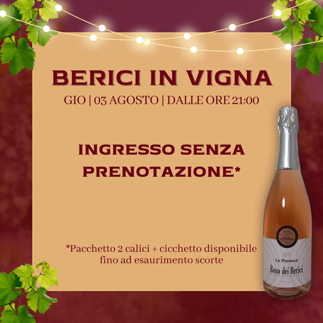 Read more about the article Berici in vigna dalle 21:00