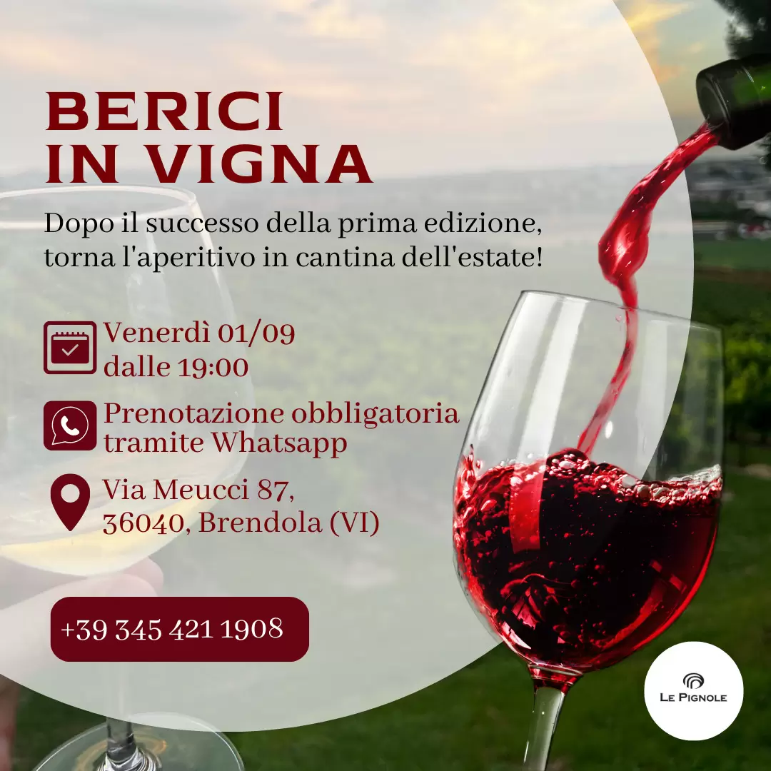 Read more about the article Seconda edizione Berici in Vigna