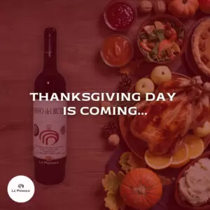 Lesen Sie mehr über den Artikel Thanksgiving