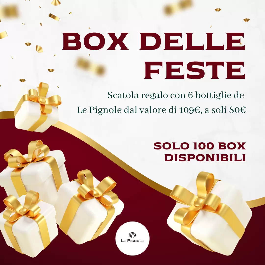 Lesen Sie mehr über den Artikel Box delle Feste