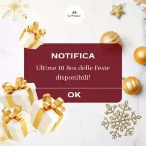 Lesen Sie mehr über den Artikel Ultime Box delle Feste
