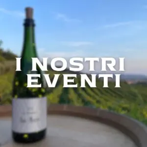 Read more about the article Eventi estivi 2024