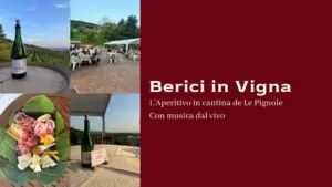 Scopri di più sull'articolo Berici in Vigna, l’evento dell’estate
