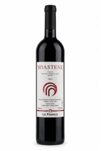 SOÀSTENE 2012 IGT Veneto Rosso