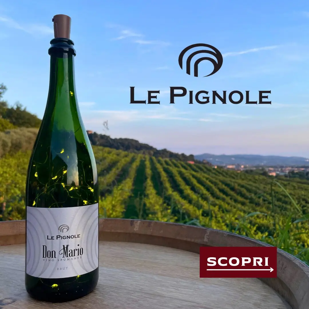 Bottiglia sulle vigne