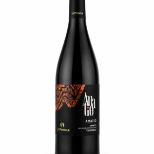AMATIO 2018 IGT Veneto Tai Rosso rosato