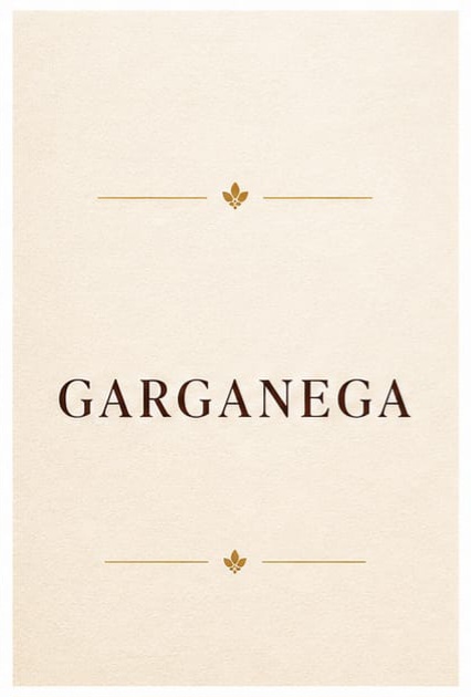 Regalo degustazione Garganega