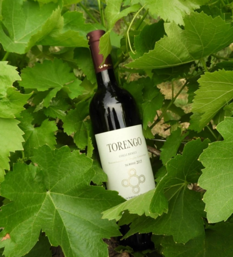 Scopri di più sull'articolo Tai Rosso dei Colli Berici: il vino simbolo del nostro territorio