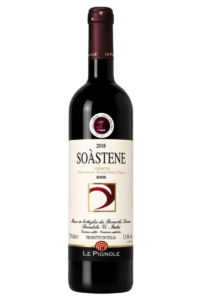 SOÀSTENE 2018 IGT Veneto Rosso