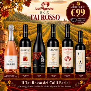 BOX TAI ROSSO – LE PIGNOLE