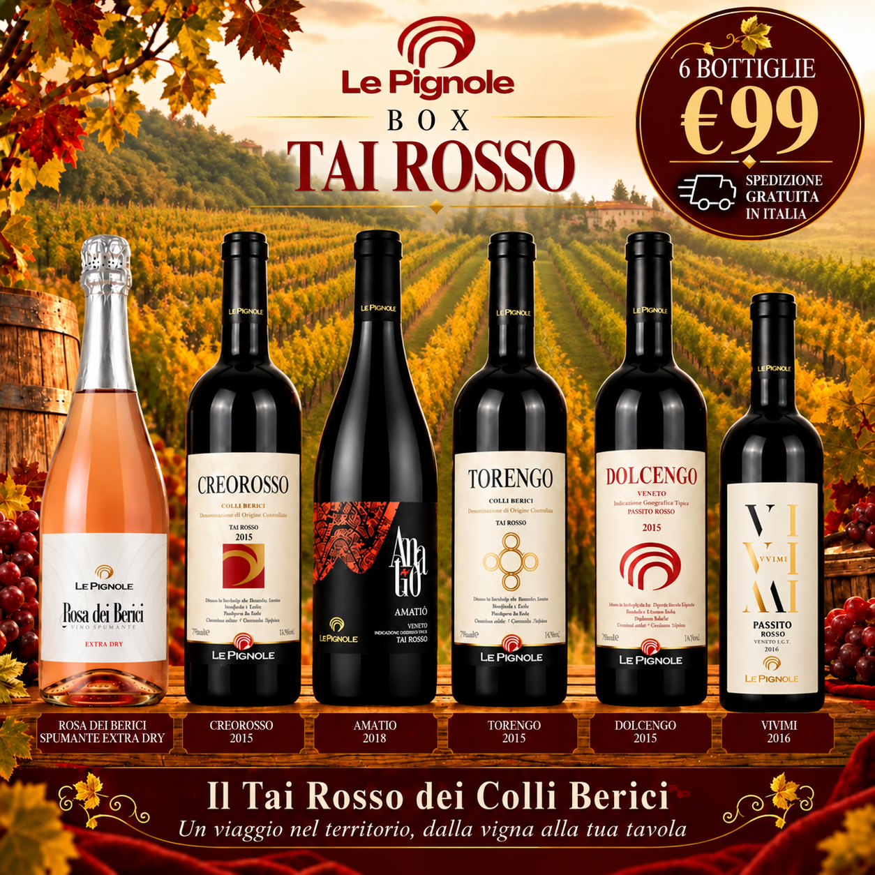 Box Tai Rosso Le Pignole